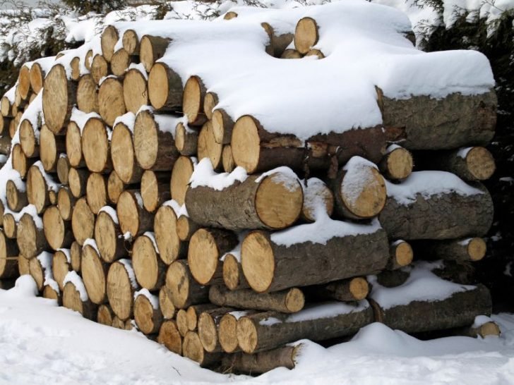 Should Firewood Be Covered? (& The Best Ways) Fireplace Tips