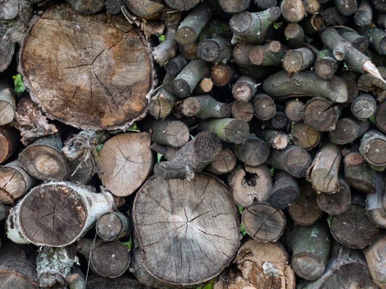 Can Firewood Be Too Old To Burn? Here’s How Long It Lasts – Fireplace Tips
