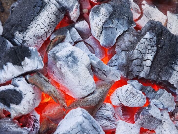 Coal vs Charcoal (Grilling, Temperature, Burn Time, & More) Fireplace